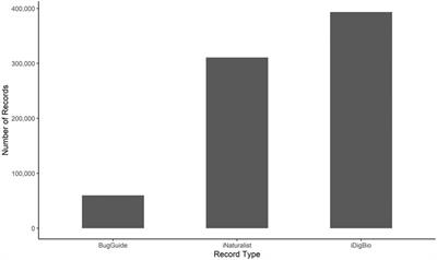 The Value of Citizen Science in Increasing Our Knowledge of Under-Sampled Biodiversity: An Overview of Public Documentation of Auchenorrhyncha and the Hoppers of North Carolina